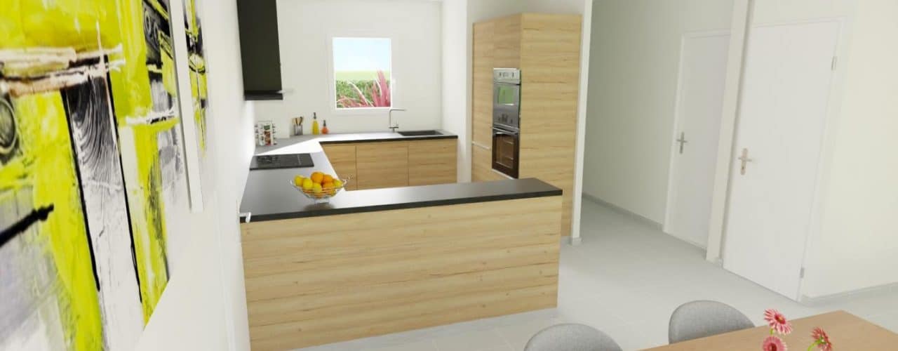Programme Terrain + Maison Domagne