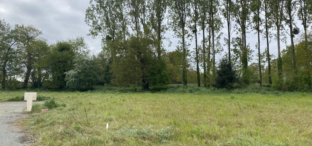 Terrain à bâtir Saint-domineuc