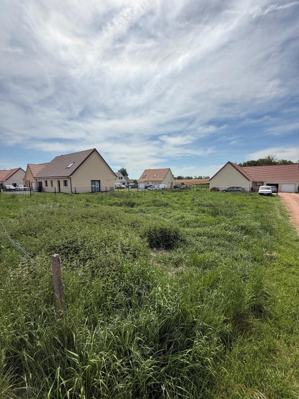 Terrains constructibles Bouquetot