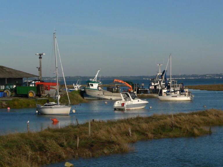 Terrain constructible Le Vivier-Sur-Mer