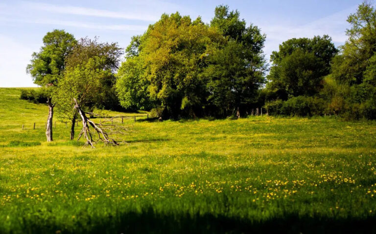 Terrain constructible Roz-Landrieux