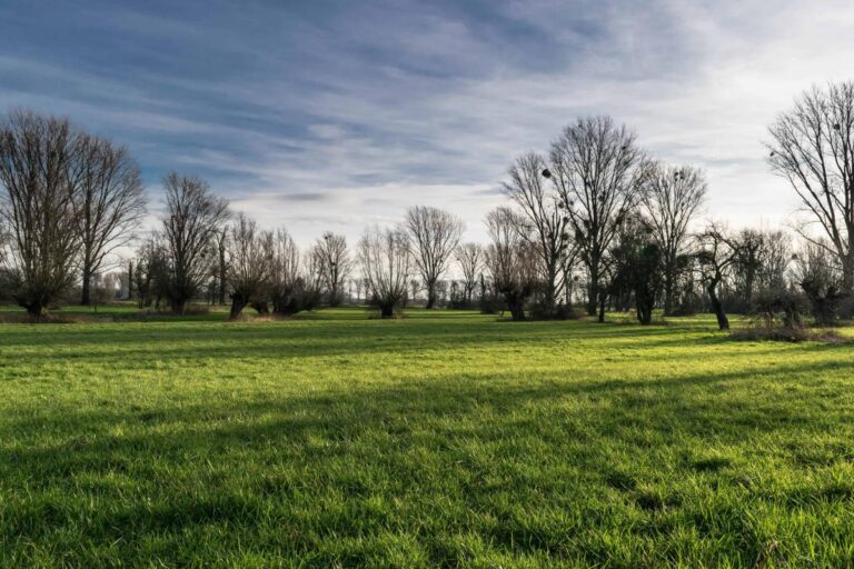 Terrain constructible Oinville-Sur-Montcient