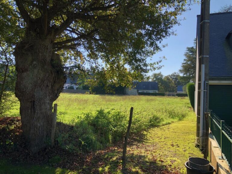 Terrains constructibles La Chapelle-Sur-Erdre